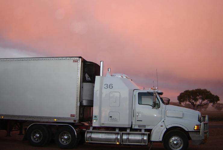 Camion vendita bloccata tachigrafo