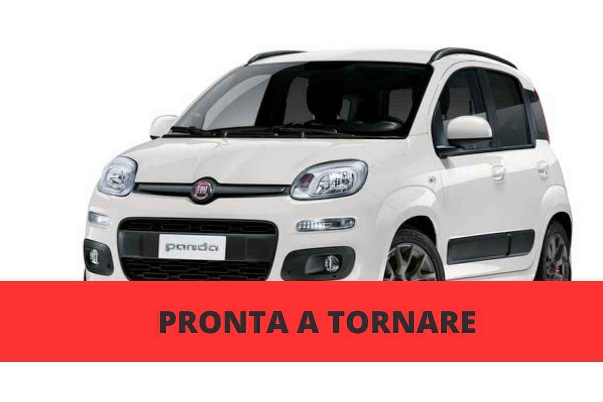 fiat panda ritorno